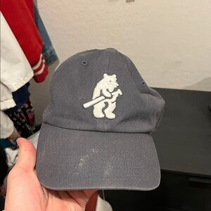 Gray Kids Cap with Bear Logo